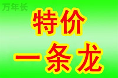 晋江福建省晋江市坟地每年管理费用是多少？